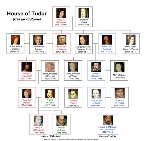 cassaforte tudor|house of tudors wikipedia.